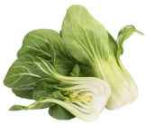 Fresh Greens