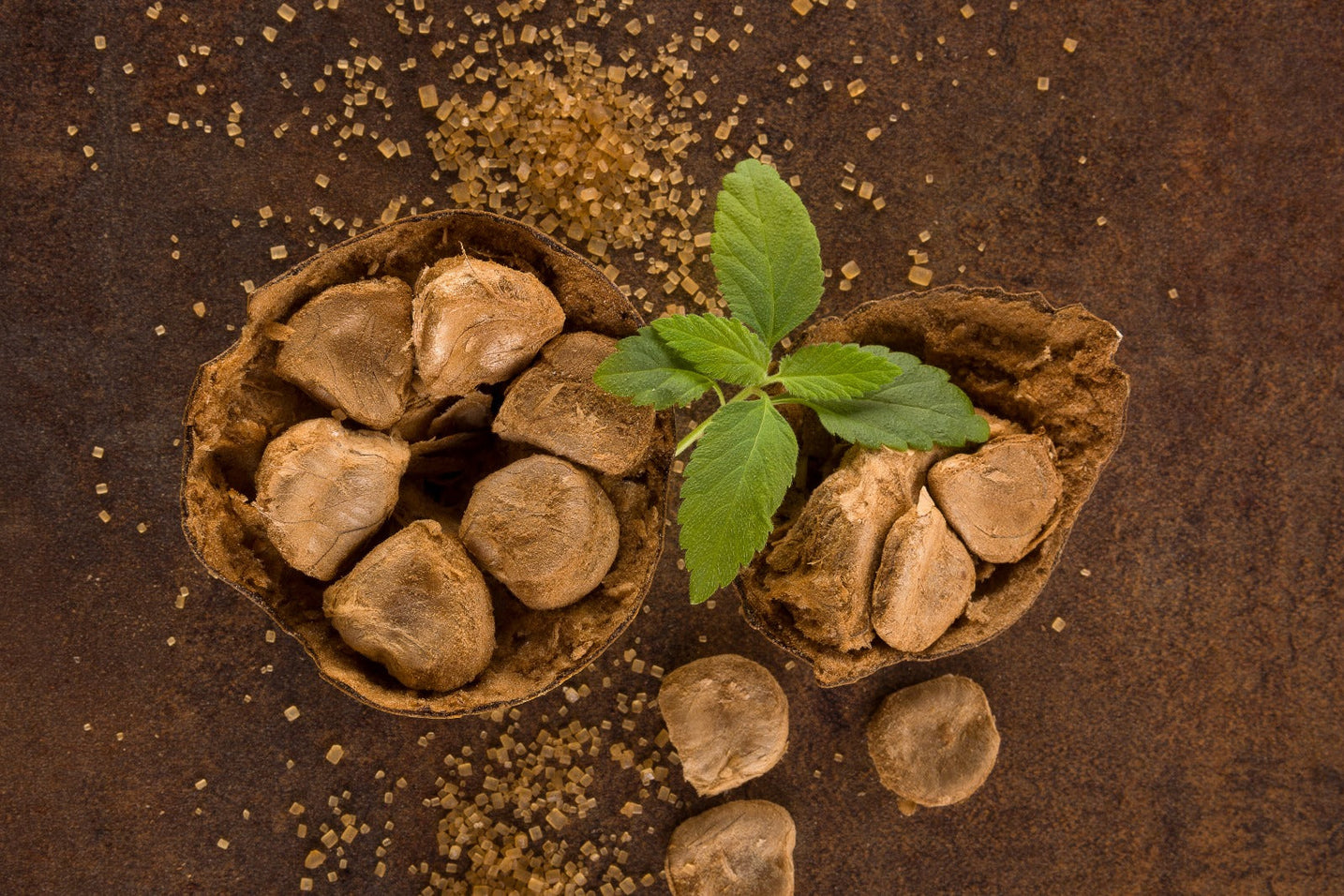 Is Monk Fruit Extract Healthy?