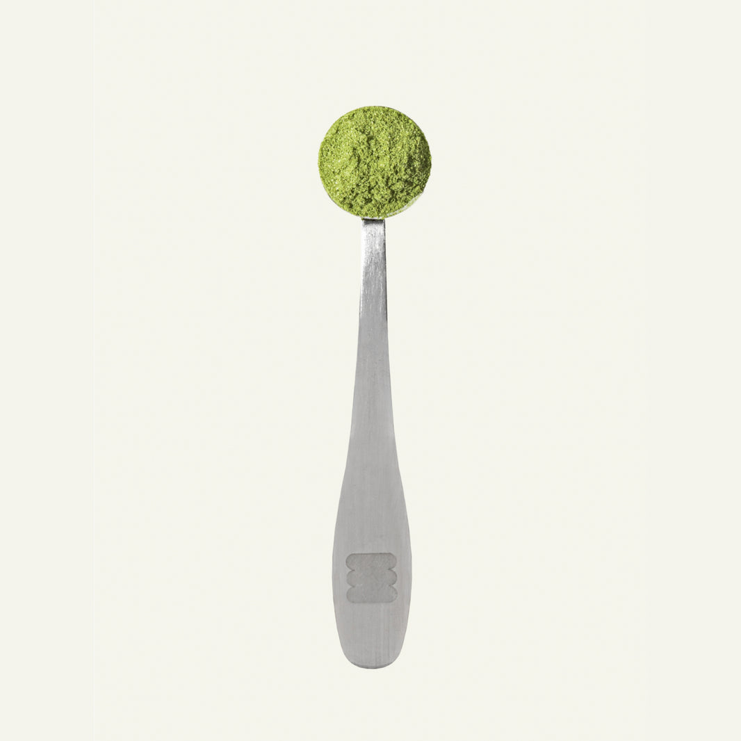FREE Gift: Scoop (Backordered- Shipping 12/23)