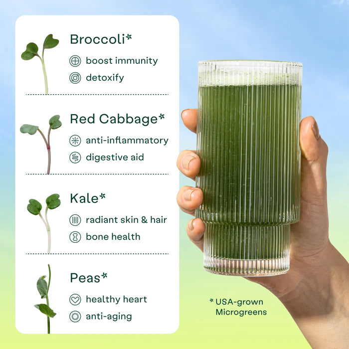 Daily Elements Standard